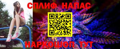 спиды Будённовск