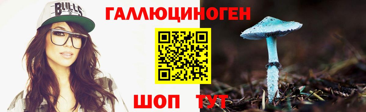 Семёнов  Галлюциногенные грибы Psilocybe  Вход с VPN 